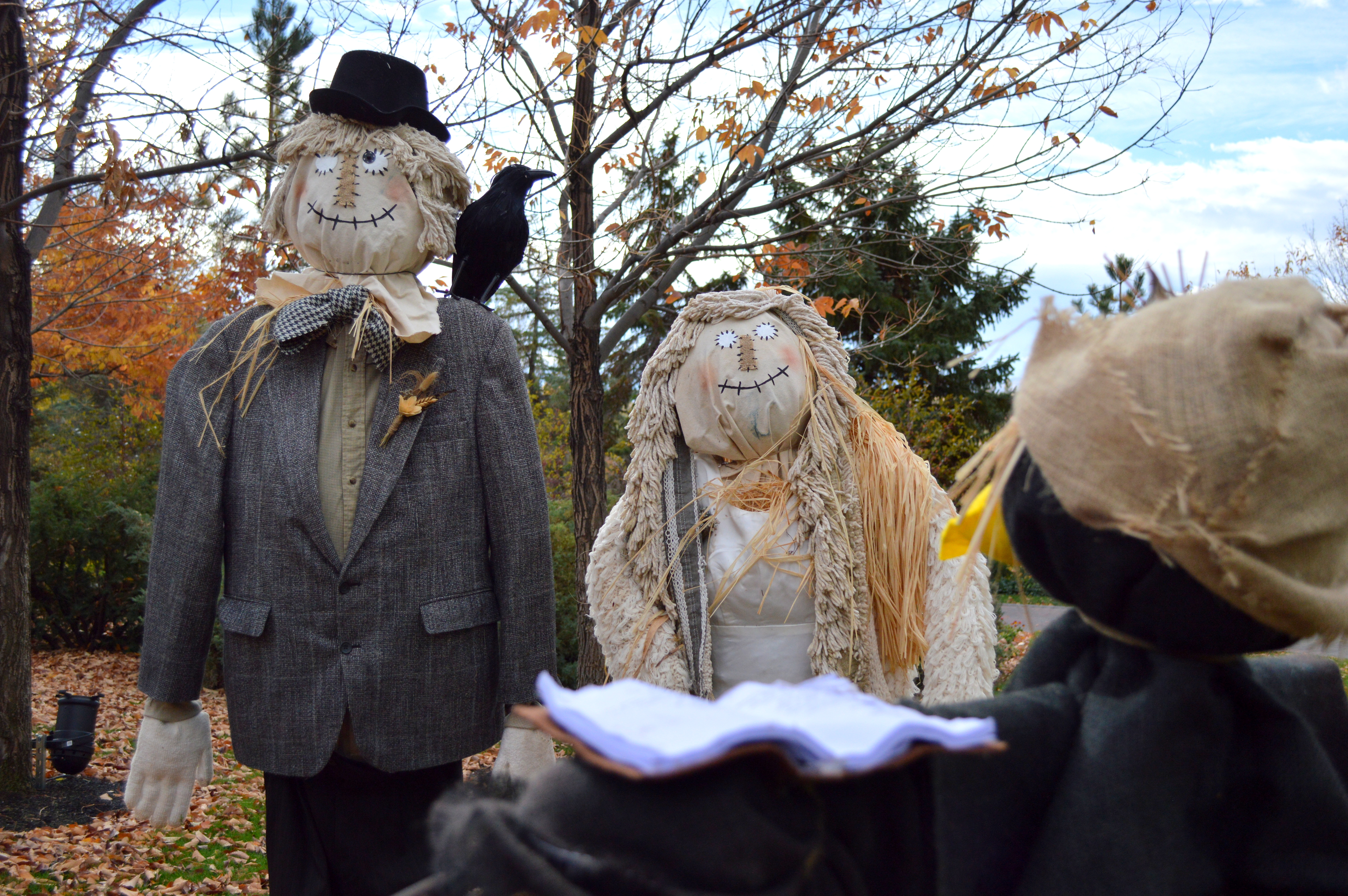 Scarecrows Scarecrows