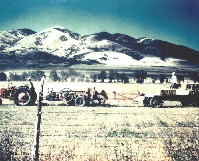 field