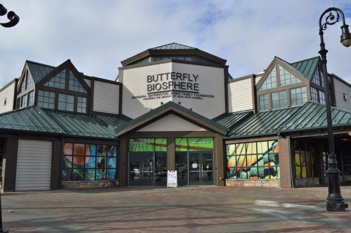 ButterflyBiosphere Image 8 NK